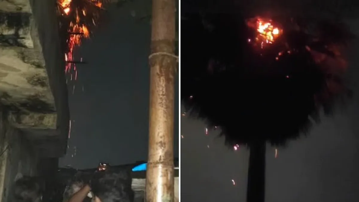 Tree on fire after lightning strike