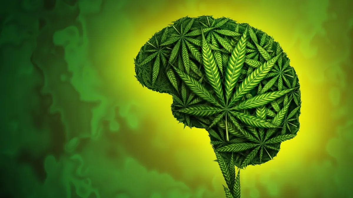 A person holding a cannabis leaf