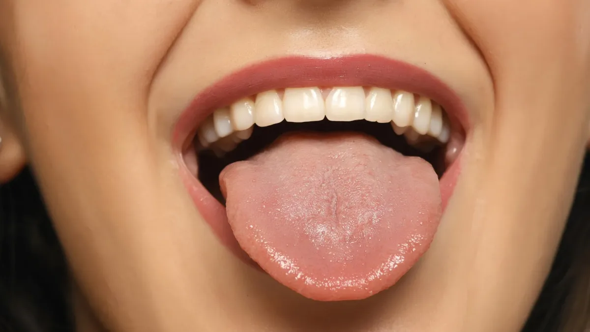 Microscope image of taste buds