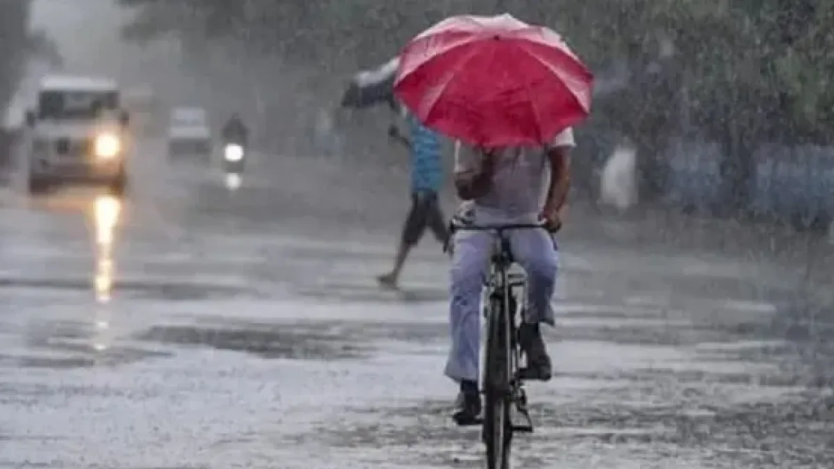 People walking in the rain with umbrellas