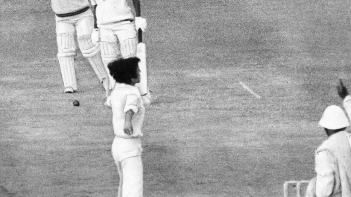 Cricket players on the field