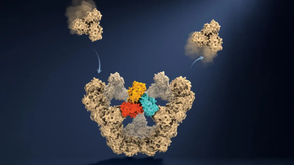 Scientists studying virus-like particles in a laboratory