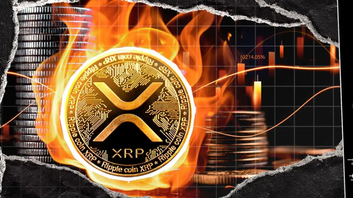 Cryptocurrency market chart